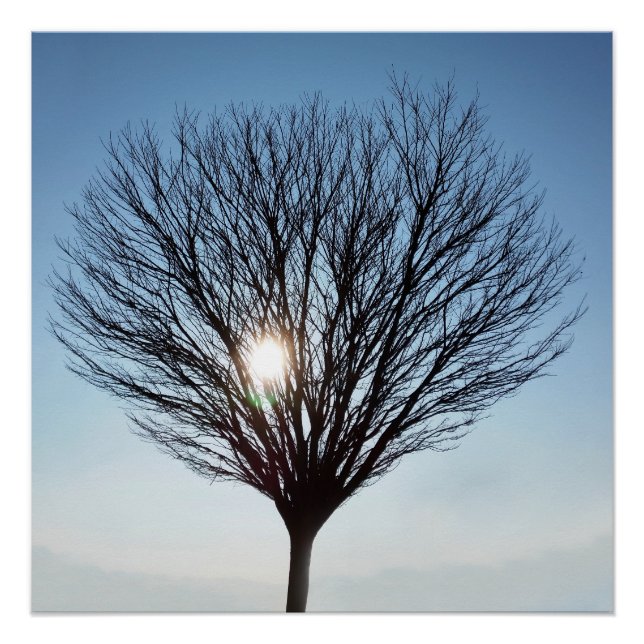 Poster soleil d'hiver (Devant)