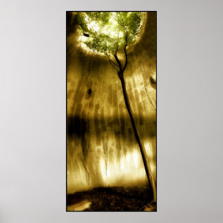 Poster Solitude