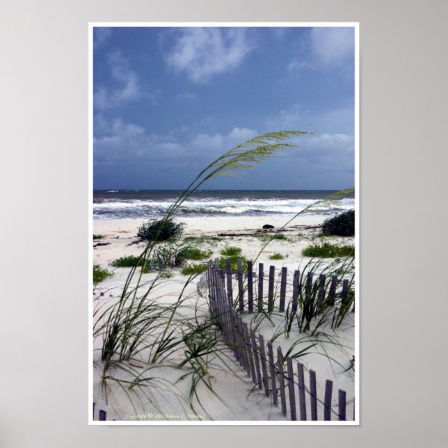 Poster Solitude (Devant)