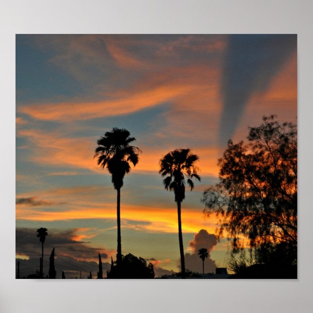Poster Sonoran Sunset (Devant)