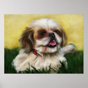 Poster Sophie Shih Tzu