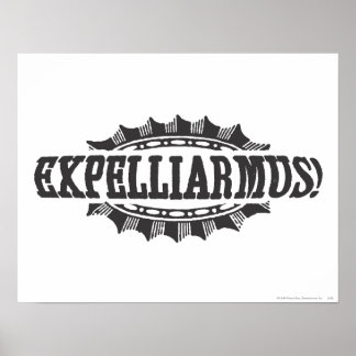 Poster Sortilège Harry Potter | Expelliarmus !