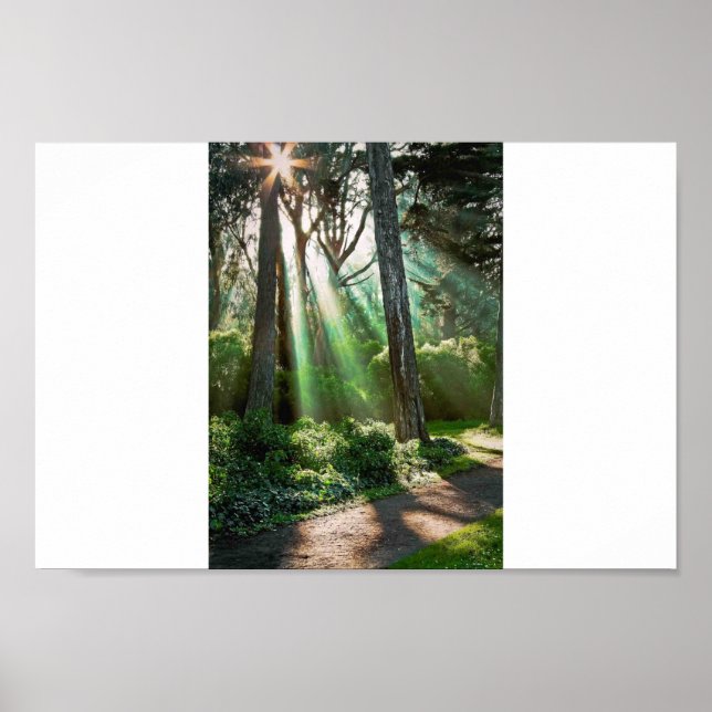 Poster Soul Shine (Devant)