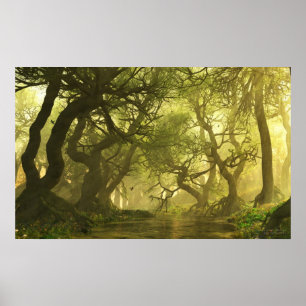 Poster Source du ruisseau Canopy