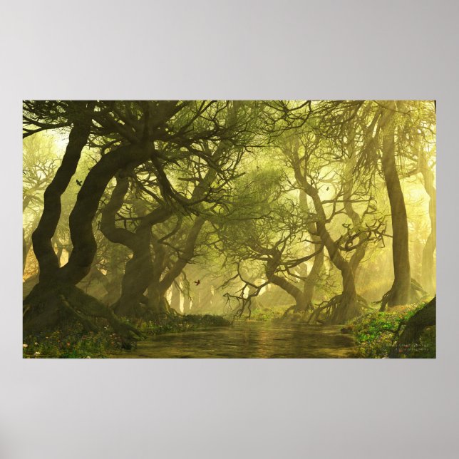 Poster Source du ruisseau Canopy (Devant)