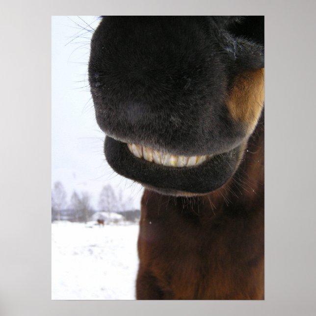 Poster Sourire (Devant)