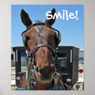 Poster Sourire d'Amish