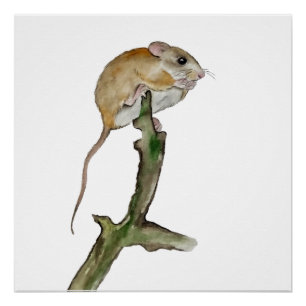 Poster Souris aquarelle réaliste dans l'arbre