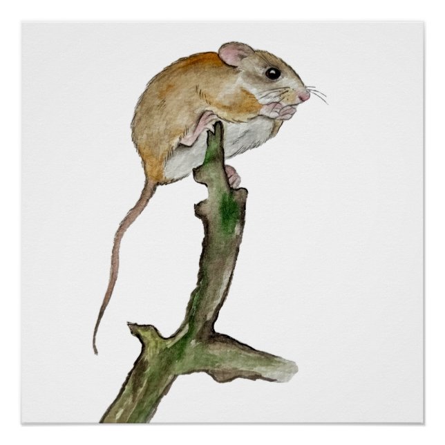 Poster Souris aquarelle réaliste dans l'arbre (Devant)