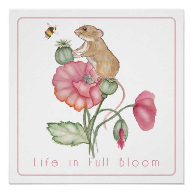 Poster Souris mûre en floraison sur le pavot (Devant)