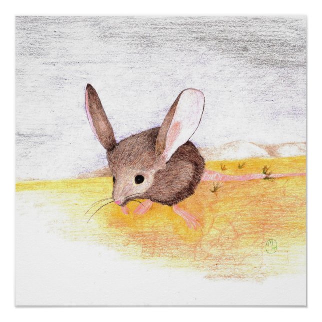 Poster Souris sèche (Devant)