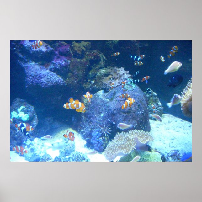 Poster sous la mer (Devant)