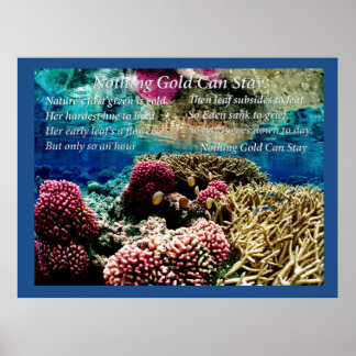 Poster Sous l'eau