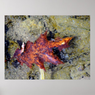 Poster Sous l'eau