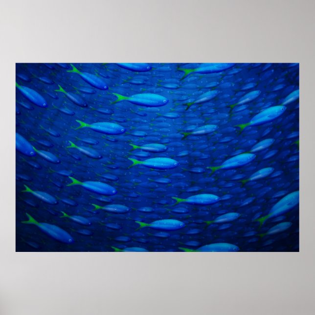 Poster Sous-marin 4 (Devant)