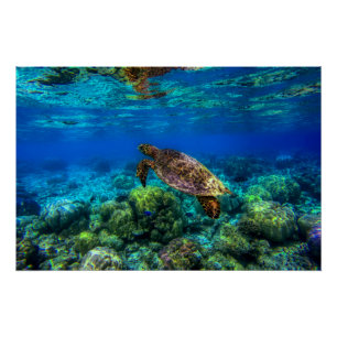 Poster Sous-marin Tropical Sea Turtle Coral