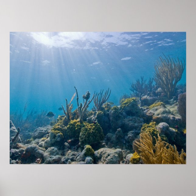 Poster sous Water Biscayne NP (Devant)