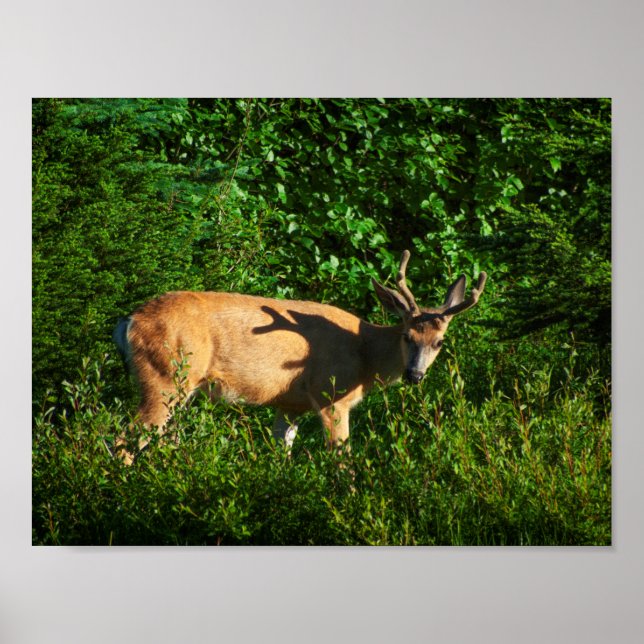 Poster Soyez sur votre chemin (Devant)