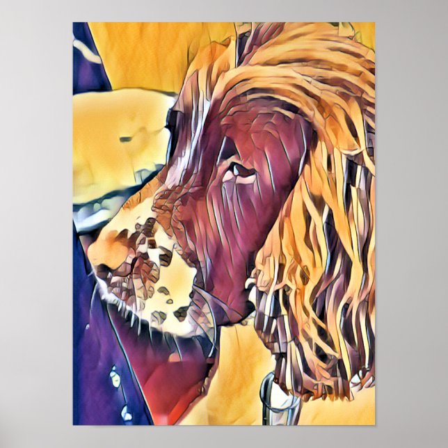 Poster SPANIEL (Devant)