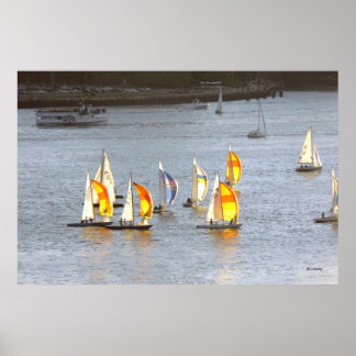 Poster Spinnakers Grab the Wind