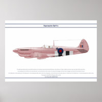 Spitfire GB 16 Sqn 2