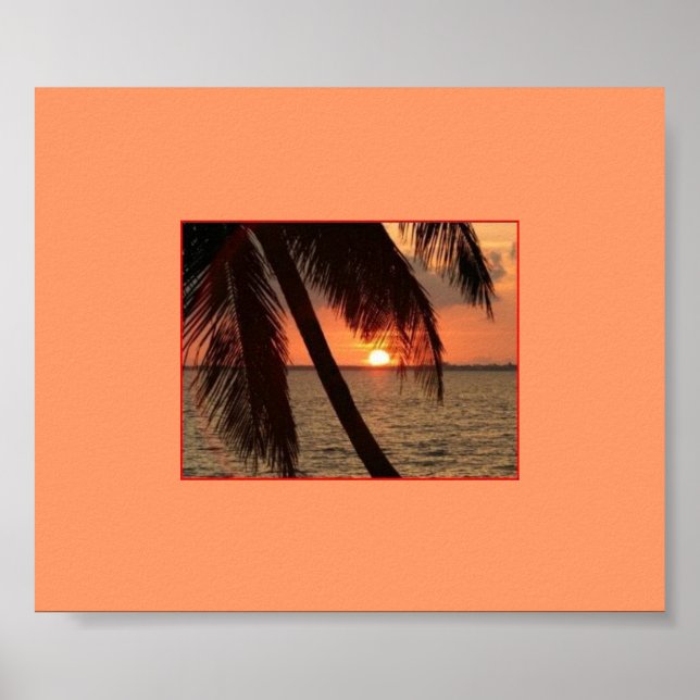 Poster Splendeur tropicale (Devant)