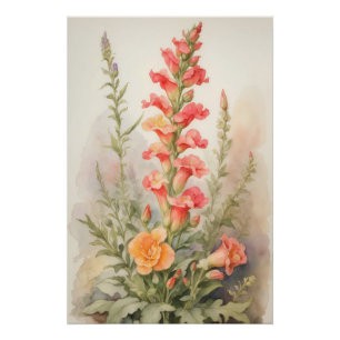Poster Splendor Snapdragon