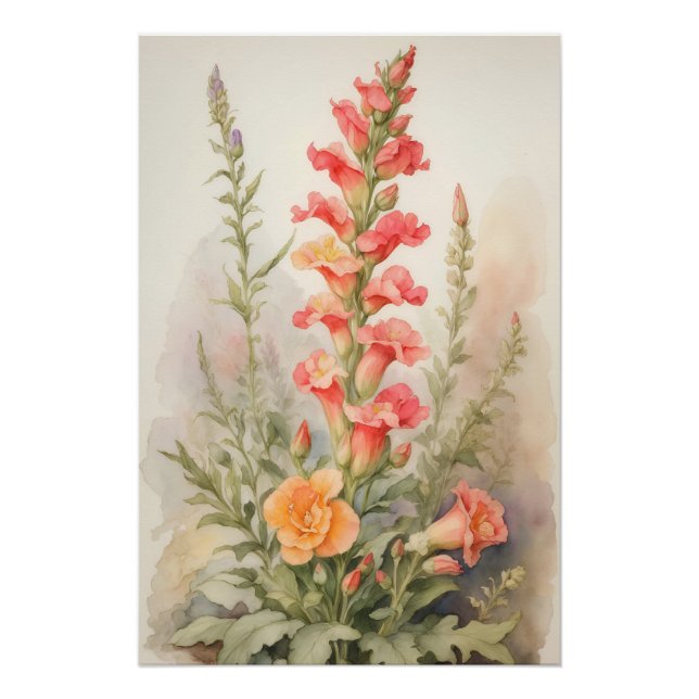 Poster Splendor Snapdragon (Devant)