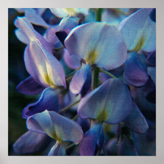 Poster Spring Creations