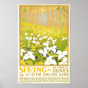Poster Spring- In The Dunes