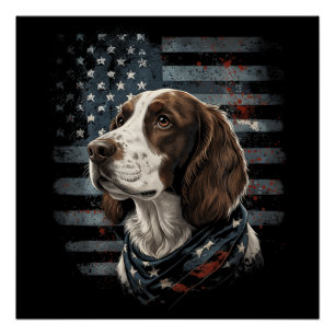 Poster Springer Spaniel Chien Drapeau Américain