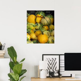Poster - squash d'été