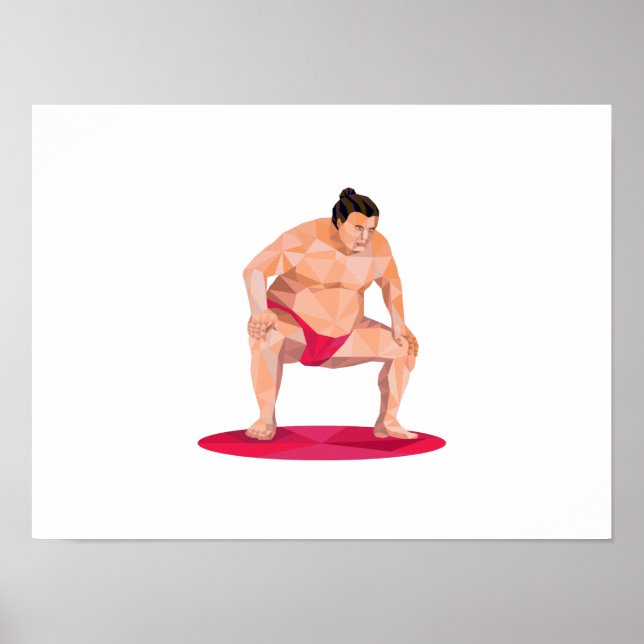 Poster Squat japonais Sumler Squat bas polygone (Devant)