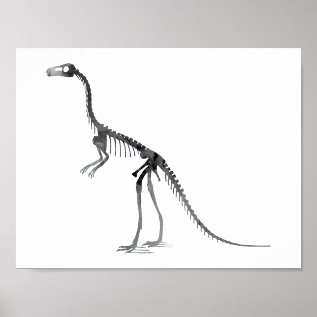 Poster squelette compsognathus (Devant)