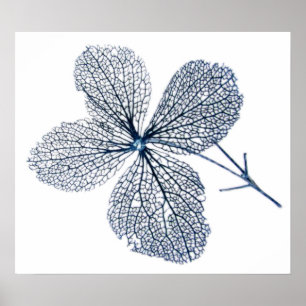 Poster Squelette de fleurs ~ imprimer