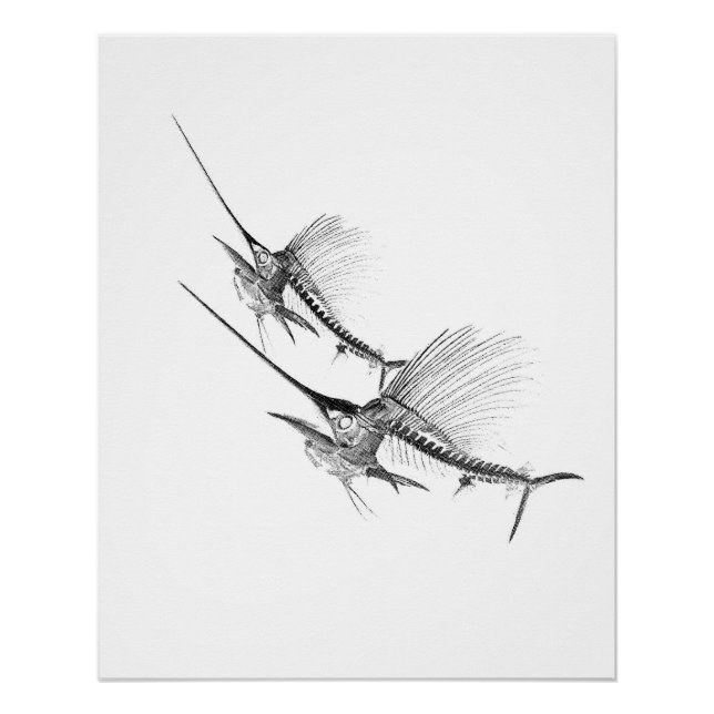 Poster Squelette de voilier pêcheur (Devant)