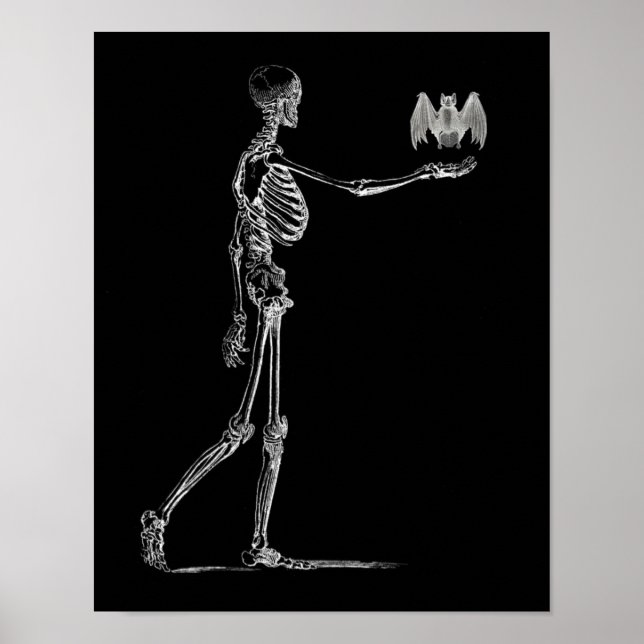 Poster squelette et chauve-souris (Devant)