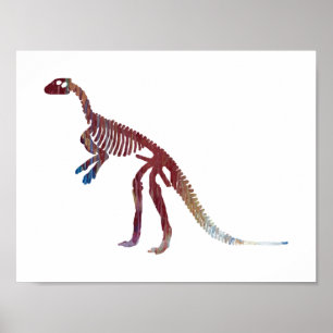 Poster squelette hypsilophodon