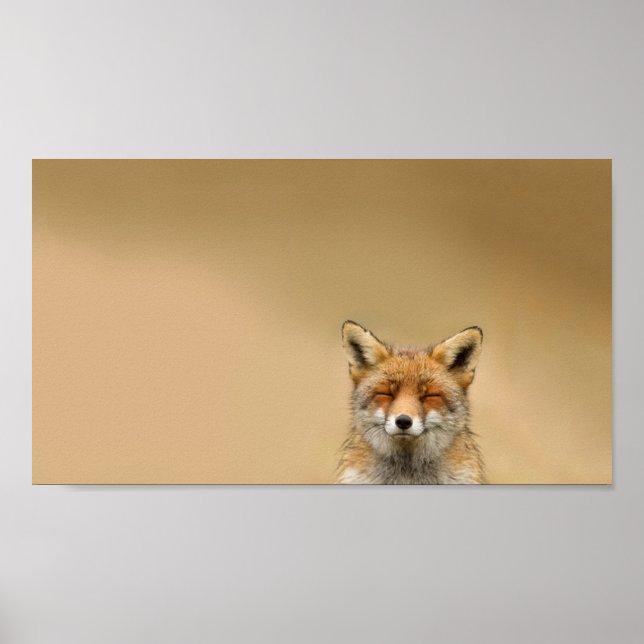 Poster Squinty Eye Fox (Devant)