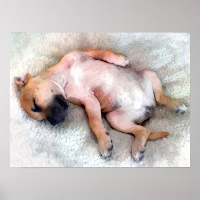 Poster Staffordshire Bull Terrier Puppy (Devant)
