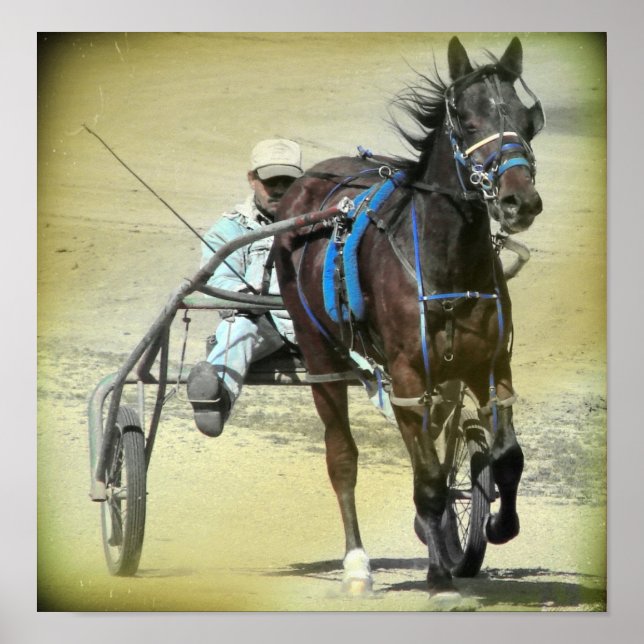 Poster Standardbred 2 (Devant)