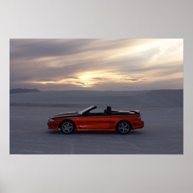 Poster Stang Convertible 1995 (Devant)