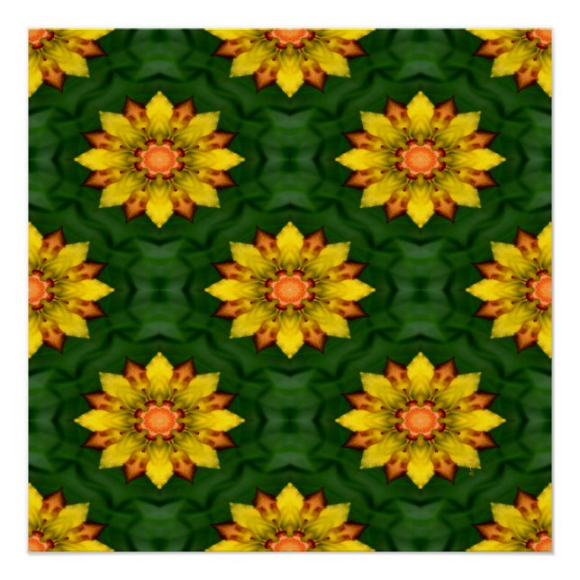Poster Star Flowers... (Devant)