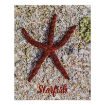 Starfish Ocean Plage Vintage Souvenir rétro