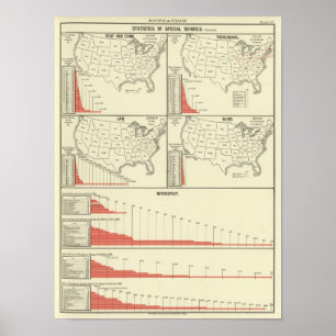 Poster statistiques de l'école spéciale