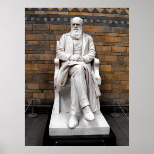 Poster Statue de Charles Darwin