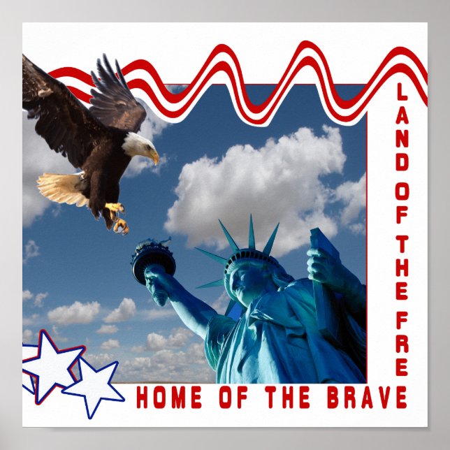 POSTER STATUE DE LA LIBERTÉ TERRE DE L'AFFICHAGE LIBRE (Devant)