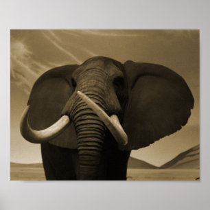 Poster Stature de Majestic