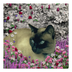 Poster Stella en Fleurs I, Chocolat & Crème Chat Siamese