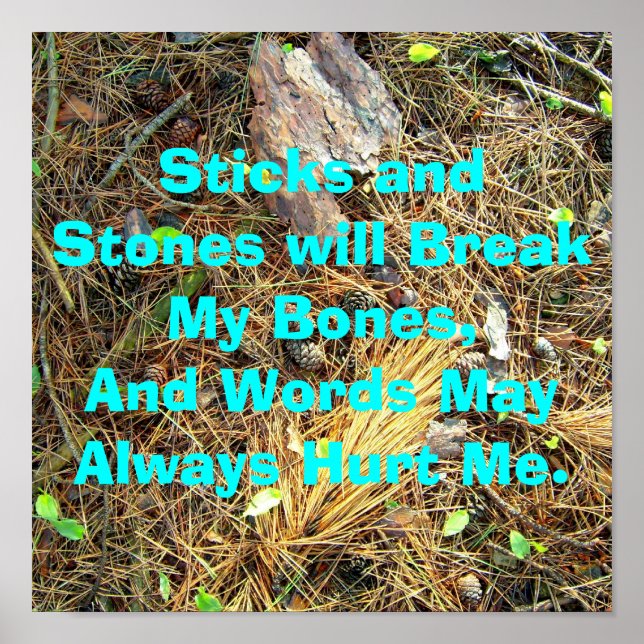 Poster Sticks and Stones vont casser mes os...Poster (Devant)